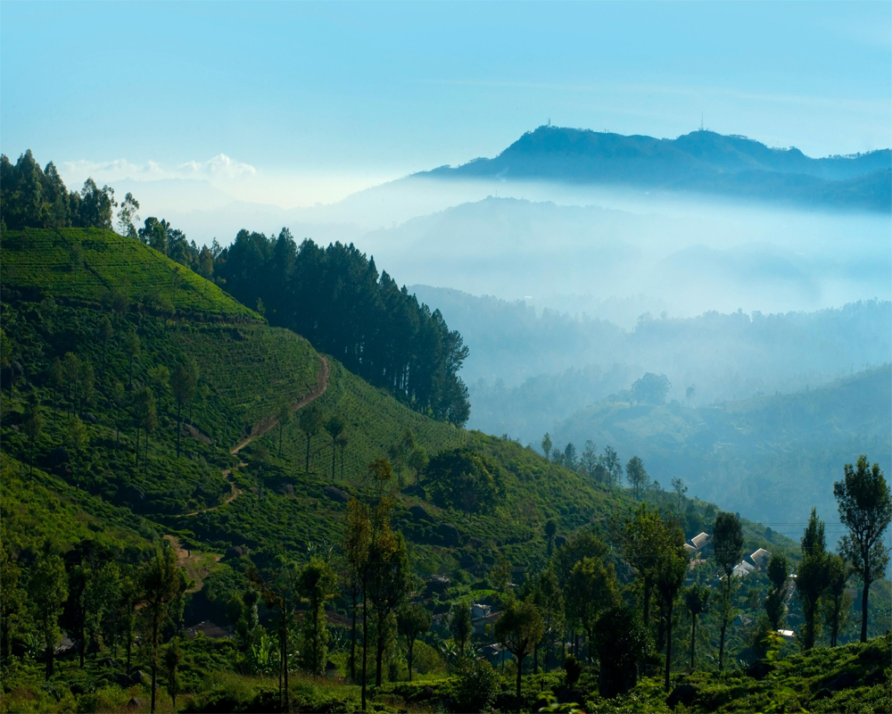 Sri Lanka